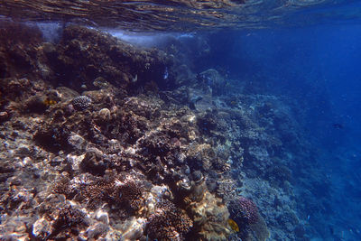 water