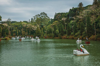 Boats on river against trees