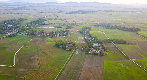 High angle view of agricultural field