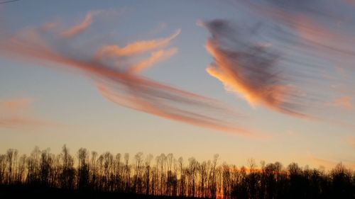 Silhouette trees against sky during sunset