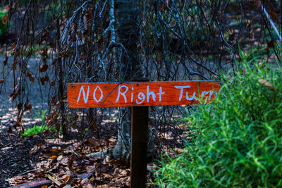 Close-up of sign board on tree in forest