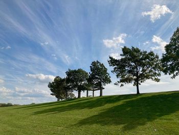 Trees on field against sky
