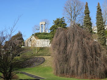 Trees growing on field against clear sky