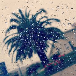 Close-up of water drops on glass