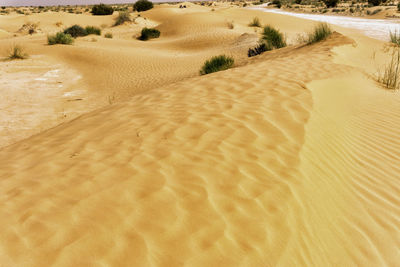 High angle view of sand dune