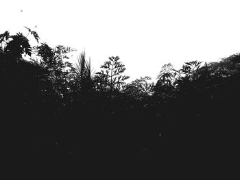 Low angle view of silhouette trees against clear sky