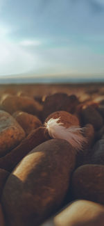 Close-up of pebbles on beach against sky