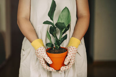 Midsection of woman holding potted plant