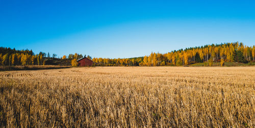 Scenic view of field against sky during autumn