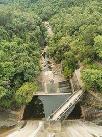 High angle view of dam amidst trees