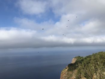 Flock of birds flying over sea