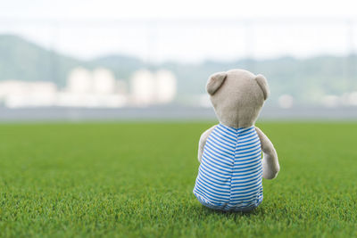 Rear view of toy on grassy field