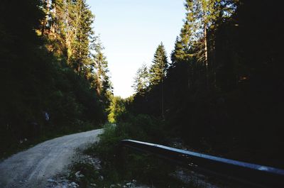 Road amidst trees in forest against clear sky