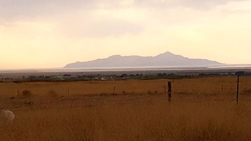 Scenic view of field against sky during sunset