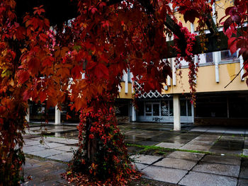 Building with trees in background