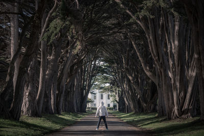 Rear view of woman walking on road amidst trees