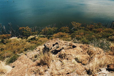 High angle view of rocks on shore