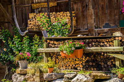 La compote in savoie in france