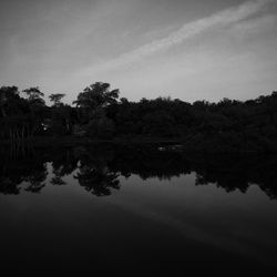 Reflection of trees in calm lake