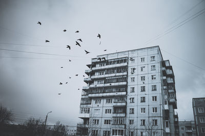 Low angle view of birds flying over buildings