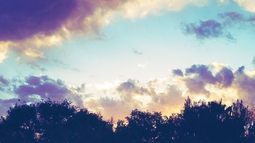 Low angle view of trees against cloudy sky