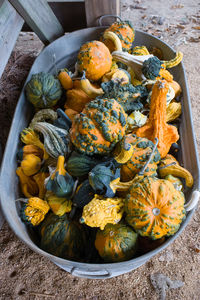 High angle view of fruits in bowl on table