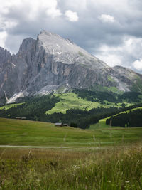 Mountain range with green meadow, trees and cabins