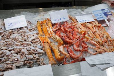 Close-up of seafood for sale at market stall