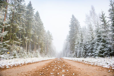 Road amidst trees on field during winter against sky