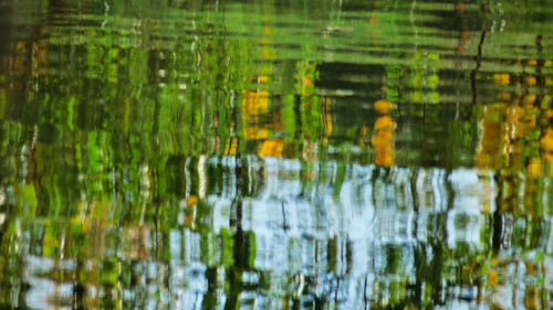Full frame shot of wet plants in lake