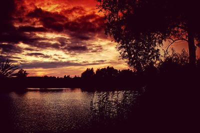 Silhouette trees by lake against sky during sunset