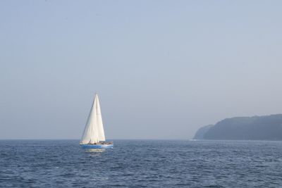 Sailboat sailing on sea against clear sky