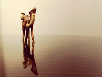 Wooden camel on table against wall