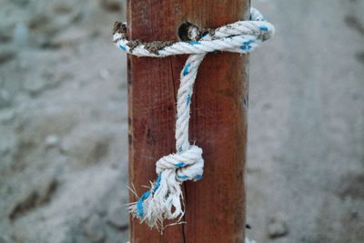 Close-up of wooden object