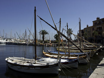 Sailboats moored in harbor