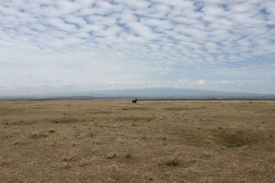 Scenic view of landscape against cloudy sky