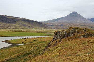 Scenic view of landscape against sky