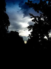 Low angle view of silhouette trees against sky