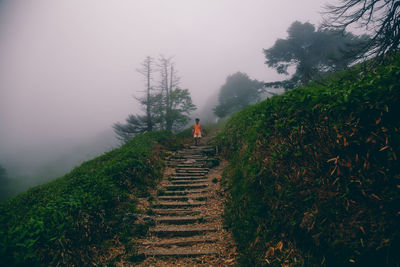 Rear view of man walking on steps amidst trees against sky