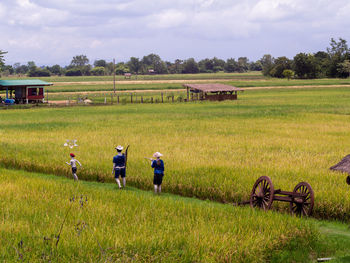 field