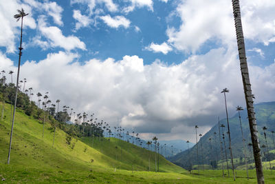 Scenic view of landscape against sky