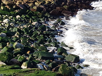 High angle view of rocks in sea