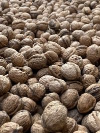 Full frame shot of walnuts