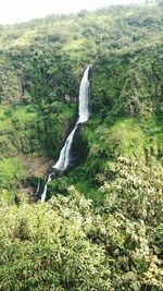 Scenic view of waterfall