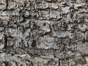 Full frame shot of stone wall