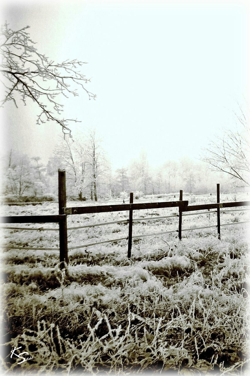 clear sky, bare tree, winter, fence, cold temperature, weather, tranquility, tranquil scene, snow, nature, tree, landscape, season, field, scenics, beauty in nature, copy space, foggy, railing