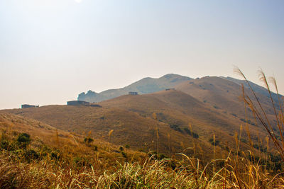 Scenic view of landscape against clear sky