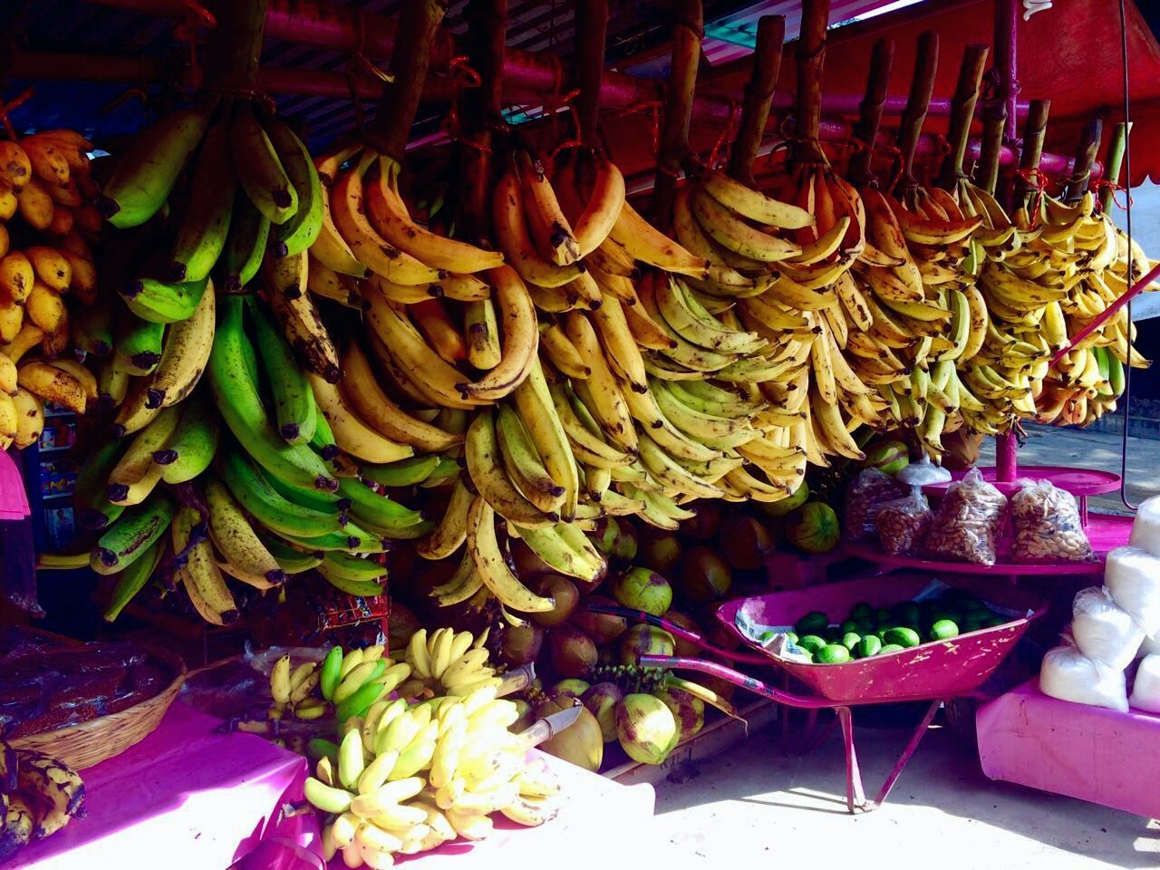 CLOSE-UP VIEW OF FRESH VEGETABLES