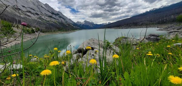 Scenic view of lake against cloudy sky