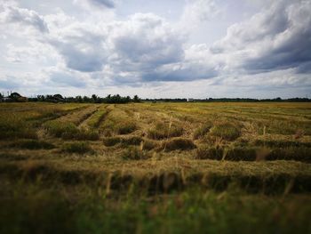 Scenic view of agricultural field against cloudy sky